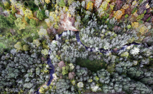 19_Dukstos pazintinis takas1 (4).jpg